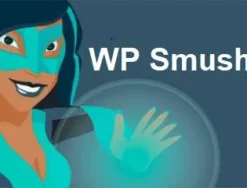 WP Smush Pro Optimize the images on your WordPress Unlimited image optimization