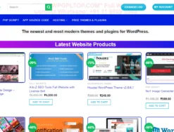 Best e-commerce website Design with Adsense-Friendly