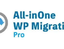 All-in-One WP Migration Unlimited Extension