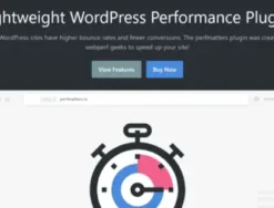 Perfmatters Web Performance Plugin for WordPress