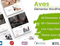 Avas Theme Multi-Purpose Elementor WordPress Theme