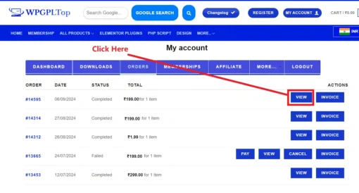 Google search bar plugin